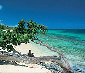 Ofertas Turísticas, CUBA| CAYO COCO - VARADERO - HABANA / JUNIO Ofertas Turísticas, CUBA| CAYO COCO - VARADERO - HABANA / JUNIO
