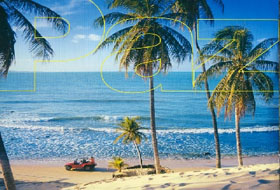 Ofertas Turísticas, PRAIA DO FORTE - VACACIONES DE INVIERNO Ofertas Turísticas, PRAIA DO FORTE - VACACIONES DE INVIERNO