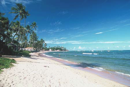 Ofertas Turísticas, PRAIA DO FORTE - ENERO 2018 Ofertas Turísticas, PRAIA DO FORTE - ENERO 2018