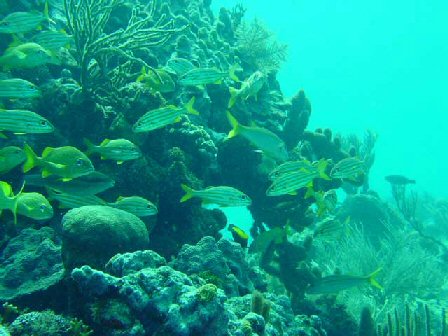 Ofertas Turísticas, SAN ANDRES - VACACIONES DE INVIERNO Ofertas Turísticas, SAN ANDRES - VACACIONES DE INVIERNO