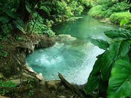  Hot Springs at Arenal